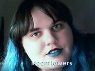 Moonflowers