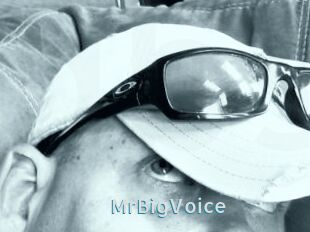 MrBigVoice