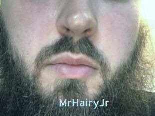 MrHairyJr