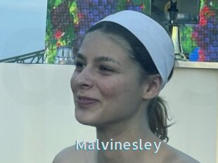 Malvinesley