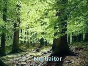 Martiaitor