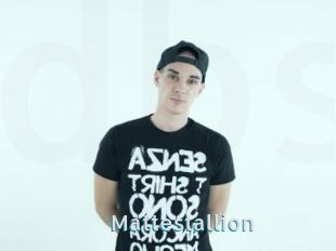 Mattestallion