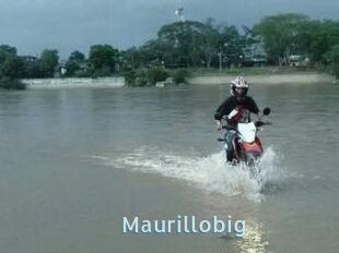 Maurillobig