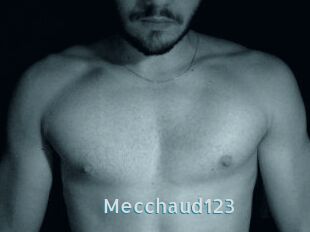 Mecchaud123
