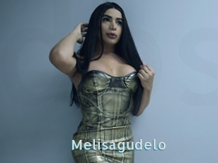 Melisagudelo