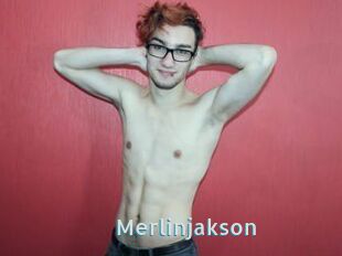 Merlinjakson