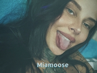 Miamoose