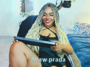 Miaw_prada