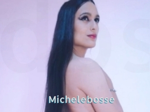 Michelebosse