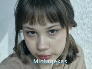 Mintagekas