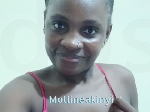 Mollineakinyi