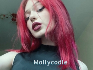 Mollycodle