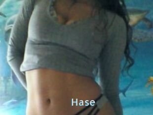 Hase