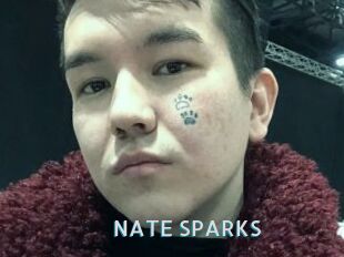 NATE_SPARKS