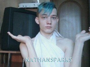 NATHAN_SPARKS
