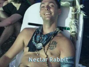 Nectar_Rabbit