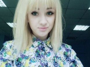 NiceKatty18