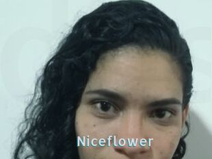 Nice_flower