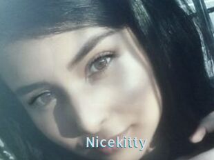Nicekitty