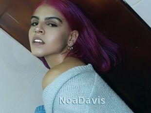 NoaDavis