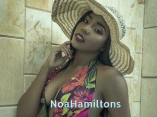 NoaHamiltons