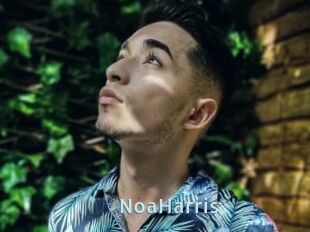 NoaHarris