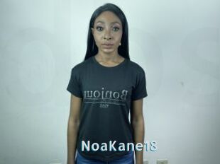 NoaKane18