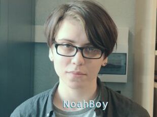 NoahBoy