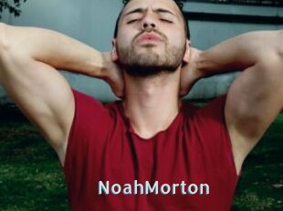 NoahMorton