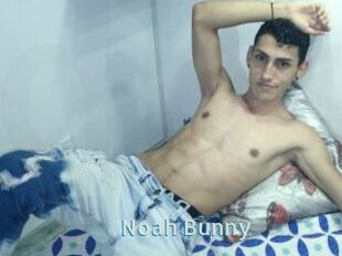Noah_Bunny