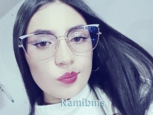 Namibms