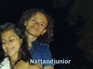 Nattandjunior