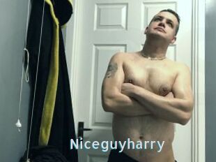 Niceguyharry