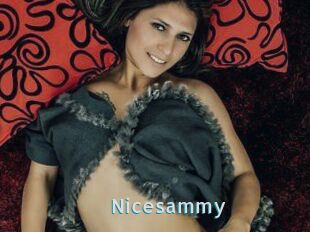 Nicesammy