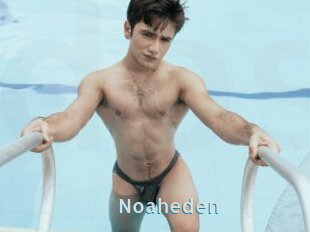 Noaheden