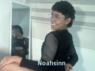 Noahsinn