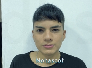 Nohascot