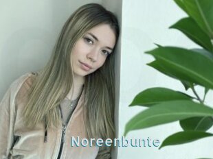 Noreenbunte