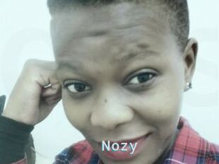 Nozy