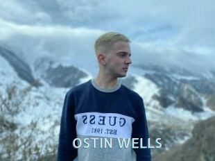OSTIN_WELLS