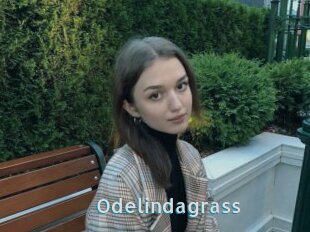 Odelindagrass