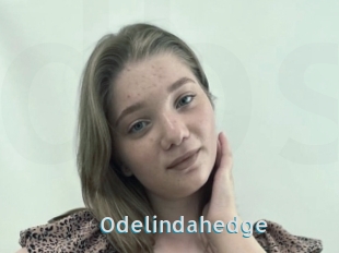 Odelindahedge