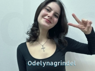 Odelynagrindel