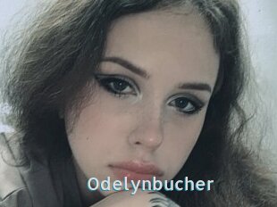Odelynbucher