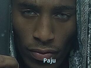 Paju