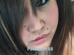 Palikane88