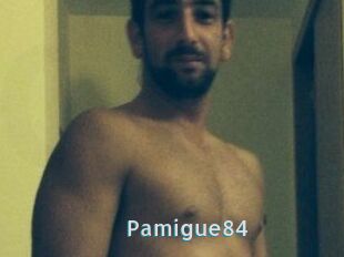 Pamigue84