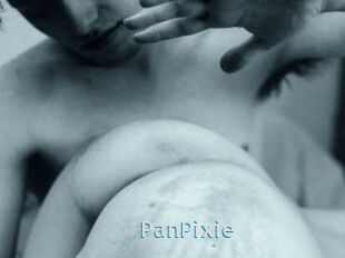 PanPixie