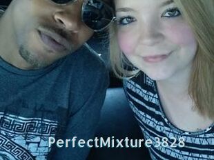PerfectMixture3828