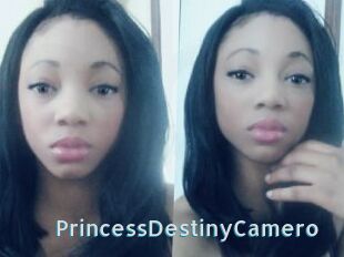 PrincessDestinyCamero